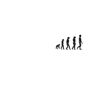 Evolution Of Man Design